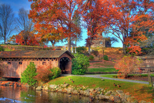 Bridge in Stanley Park